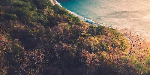 Travel Inspo Night: Yoga Retreats in Costa Rica