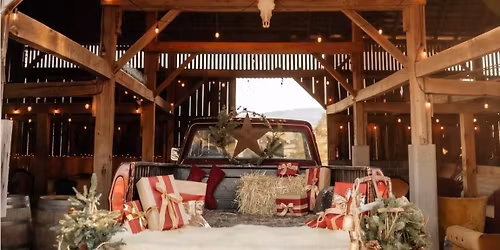 Christmas Mini\u2019s