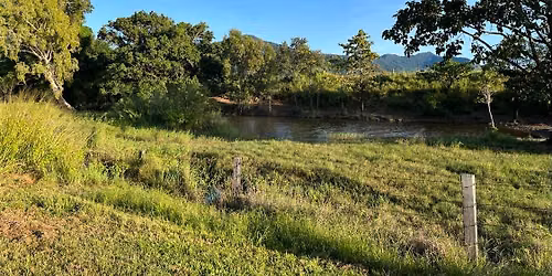 Cane Toads and Crocodiles 