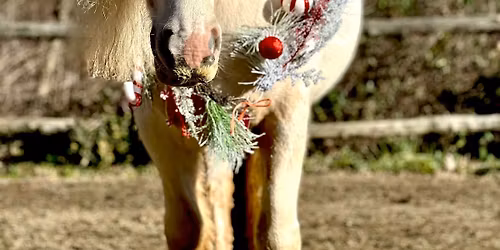 Christmas show and party