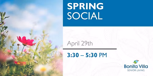 Spring Social