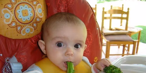 Baby led weaning talk