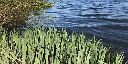 Walk with a Warden: Summer at Sevenoaks Wildlife Reserve