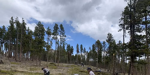 Native Plant Reseeding Volunteer Day