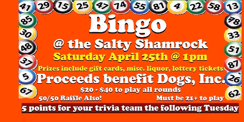 Saturday Afternoon Bingo @ the Salty Shamrock for Dogs Inc