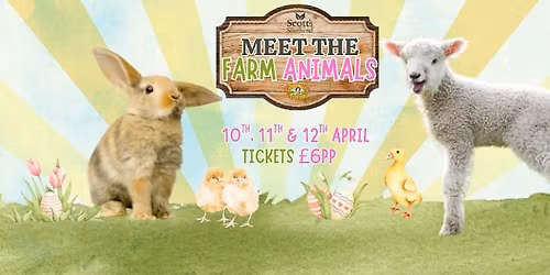 Meet The Farm Animals \ud83d\udc07\ud83d\udc25