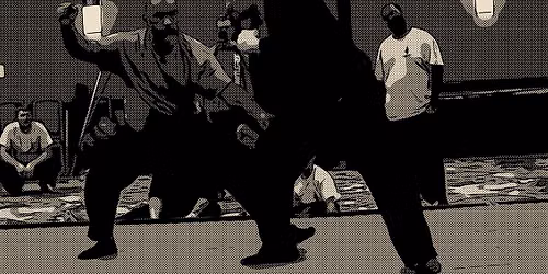 Martial Arts & Hand-to-Hand Combat