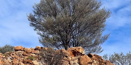 Retreat: Coming Home to Silence