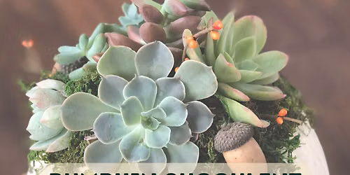 Sunday 10\/11 Pumpkin Succulent Centerpiece Workshop