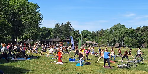 \ud83e\uddd8 Joga na Polanie \u2013 Dzie\u0144 Rekordu
