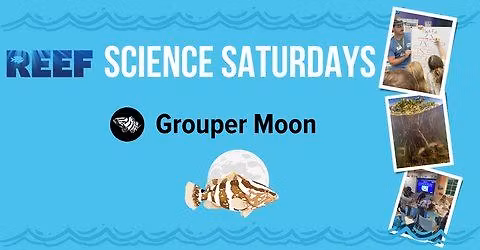 Science Saturdays - Endangered Species: Grouper Moon