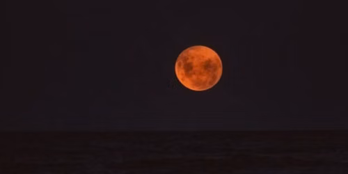The Five Senses: A Taurus Full Moon Experience