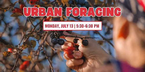 Urban Foraging
