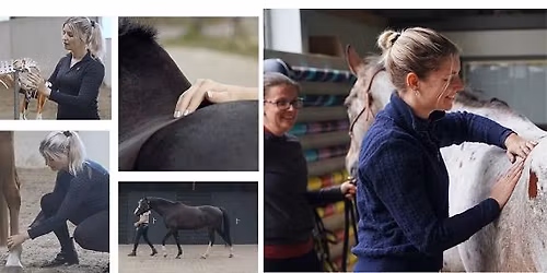 Whole horse Assessment 2-Day clinic