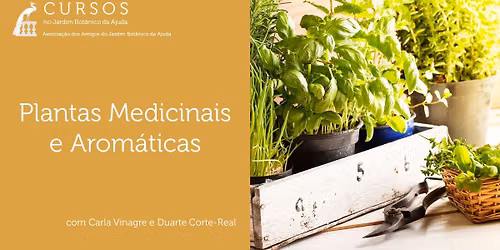 Plantas Medicinais e Arom\u00e1ticas