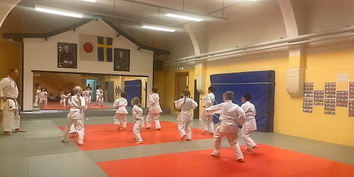 Ljusdals Shotokan Karate 50 \u00c5R