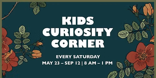 Kids Curiosity Corner