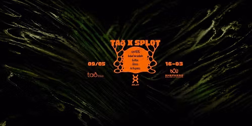 Tad Club x SPLOT \/\/ Archypness (UA), Glassz (PL), Guiltee (PL), dadan karambolo (PL), raptAGOG (NZ)