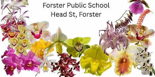 Annual Winter Show