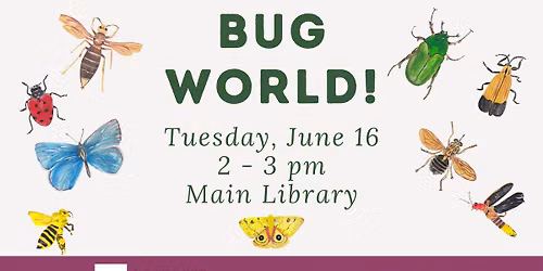 Bug World!