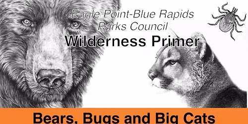 Bears, Bugs and Big Cats