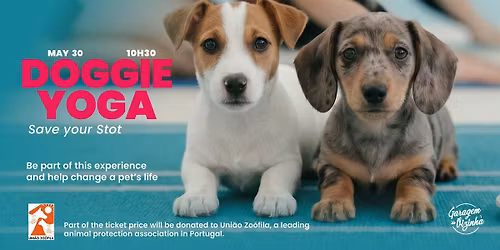 Doggie Yoga
