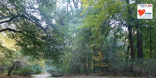 Wyprawa (naukowa) na grzyby z mykolo\u017ck\u0105 do Parku Skaryszewskiego