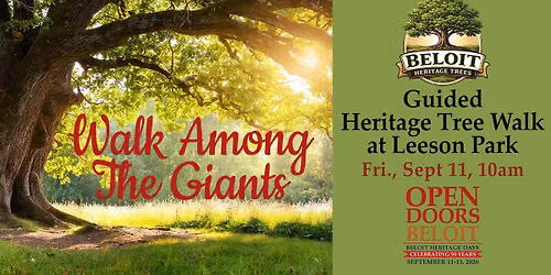 Walk Among the Giants | A Guided Heritage Tree Walk Through Leeson Park