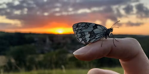 Ecofluency workshop in Nature communication, at Tomtit Farm