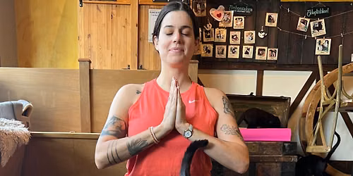Meowga - Yoga with Cats 