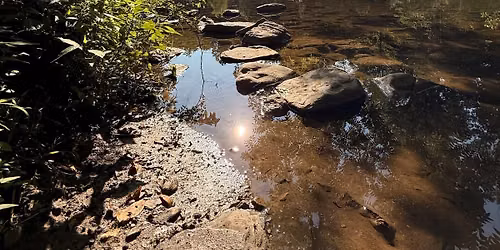 Hike & Yoga Session