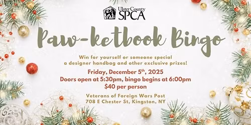 Paw-ketbook Bingo