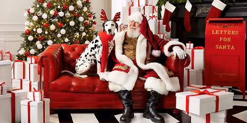 Pet Photos with Santa