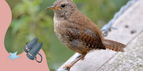 Fugletur for familier p\u00e5 N\u00f8rrebro