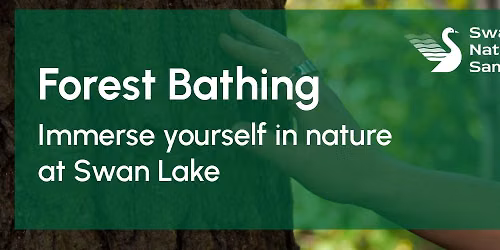 Forest Bathing at Swan Lake