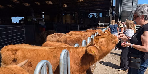 \nChar \u2018coo\u2019 terie Evening with Mini Moo Meet & Greet