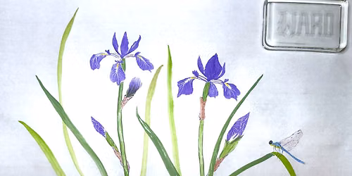Chinese Brush Painting - Japanese Iris and Bumble Bee \/ Dragonfly