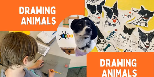 Drawing Animals - Youth Class