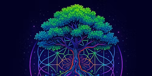 Fractal Fields Music Festival