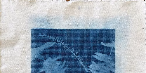 Cyanotype Workshop presented by Miaan