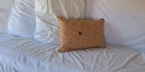 Copy of Basic Sewing Class - Making a Pillow to Take Home