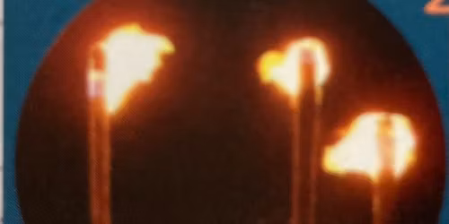 Familiennachmittag Licht im Dunkeln (Fackelwanderung)