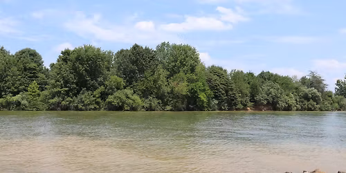 Celebration of Christmas