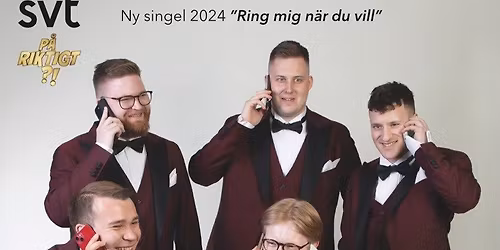 Midsommardans - Juhannustanssit