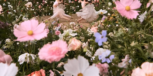 Ecstatic Dance \u221e Bodaishin