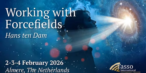 Working with Forcefields by Hans ten Dam