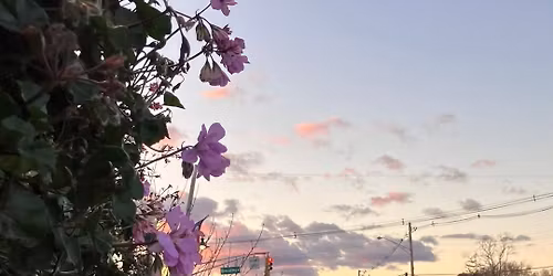 Food Tour of Denville