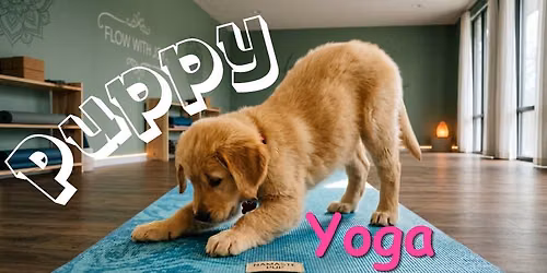 Puppy Yoga at HUMC