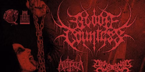 Blood Countess, Andracca & Napierdalac @ Heebies Tunnel 20\/11\/26