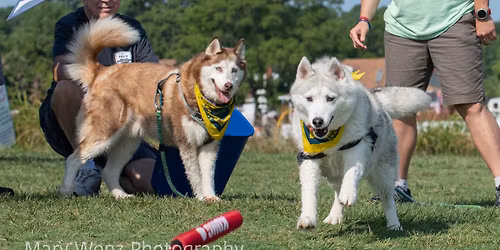 14th Annual Dog Day in Colonial Beach